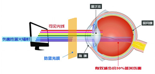 91视频在线观看最新科技成果 91视频直播下载成护眼利器
